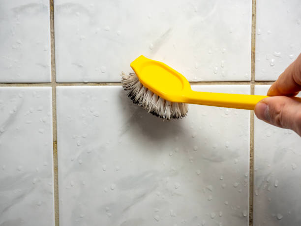 Best Black Mold Removal  in Thermopolis, WY