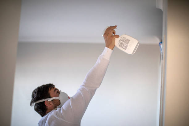 Best Certified Mold Removal  in Thermopolis, WY