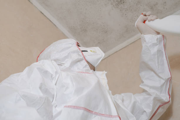 Best Mold Removal Company Near Me  in Thermopolis, WY